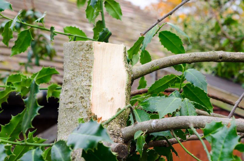 Deck Installation Service