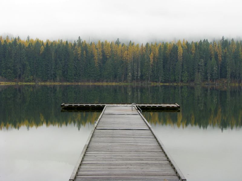 Dock Building Service in Alpharetta, GA